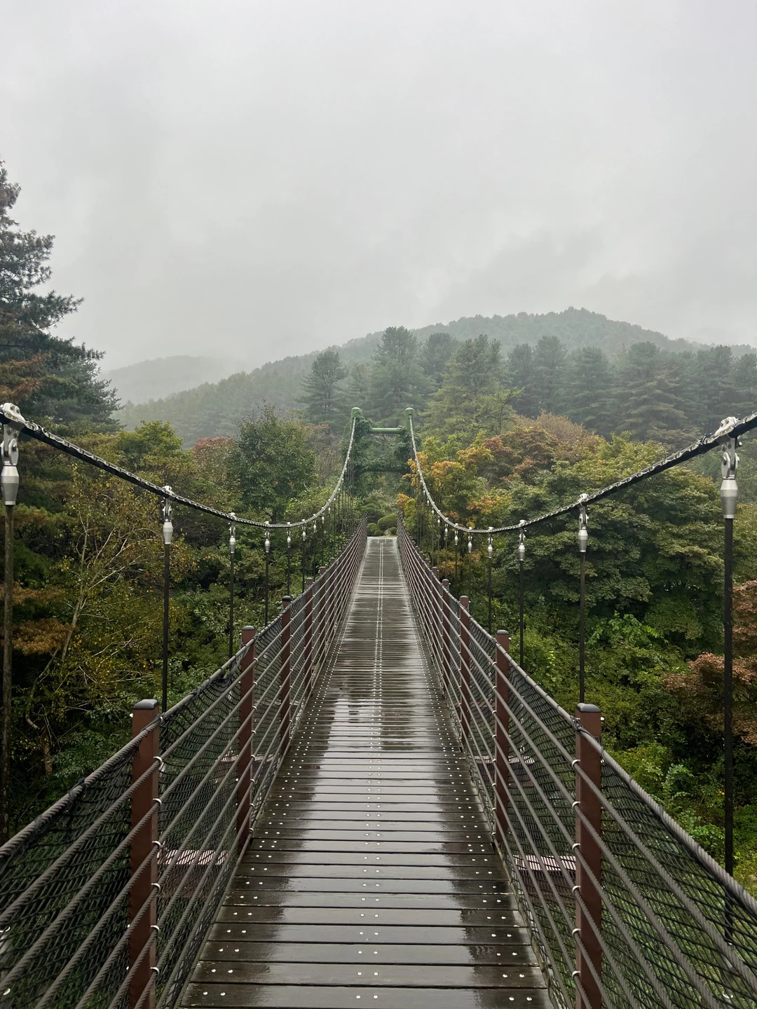 Недавно были на экскурсии с замечательным гидом Юлей по острову Нами и саду Утреннего Спокойствия — впечатления просто потрясающие!
