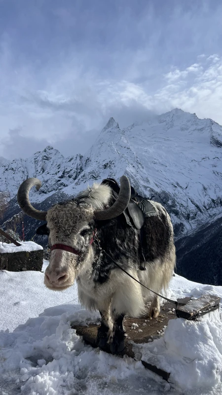 Молодёжный тур в Домбай: лёгкие треккинги, природные чудеса и отель 4* с видом на вершины