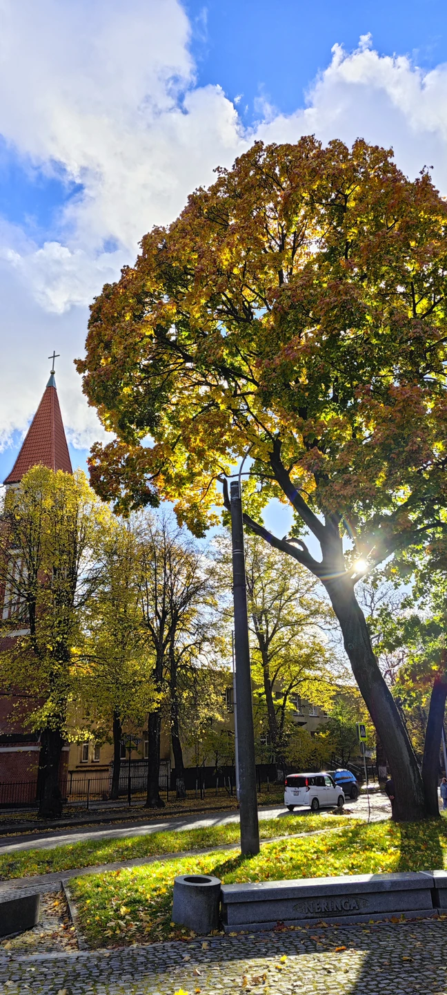 Отличная экскурсия, Евгений предоставляет возможность увидеть район глазами местного человека с глубоким погружением в прошлое. Информации