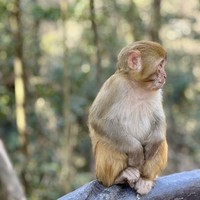 Фото отзыва 2: авторский тур "Фантастическая природа национальных парков «Чжанцзяцзе» и «Тяньмэнь»"