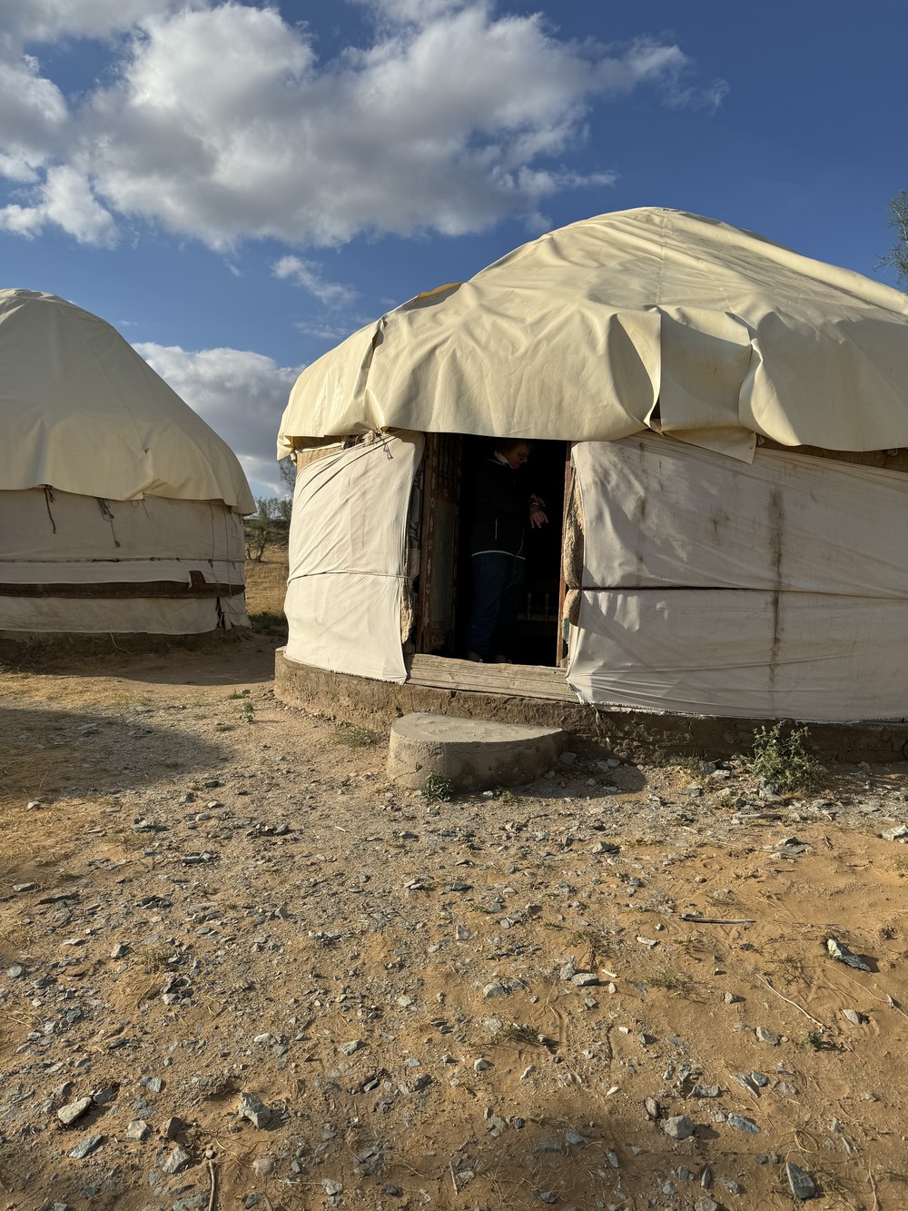 Фото Петроглифы, ночь в юртах и отдых на озере Айдаркуль: двухдневная поездка