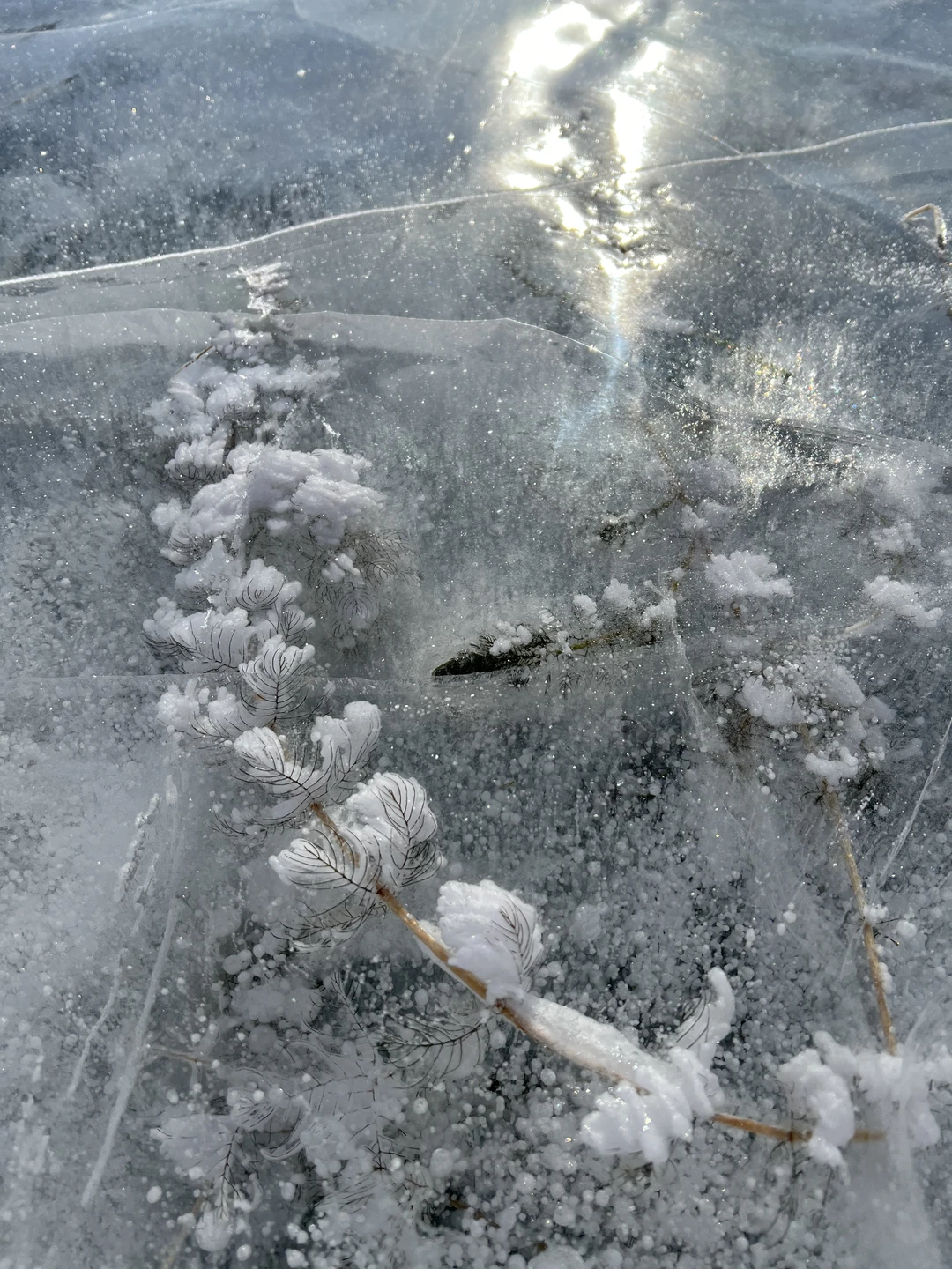 Экскурсия была великолепна! Дорога туда и обратно прошла на одном дыхании) экскурсовод Михаил приятный человек, великолепный рассказчик))