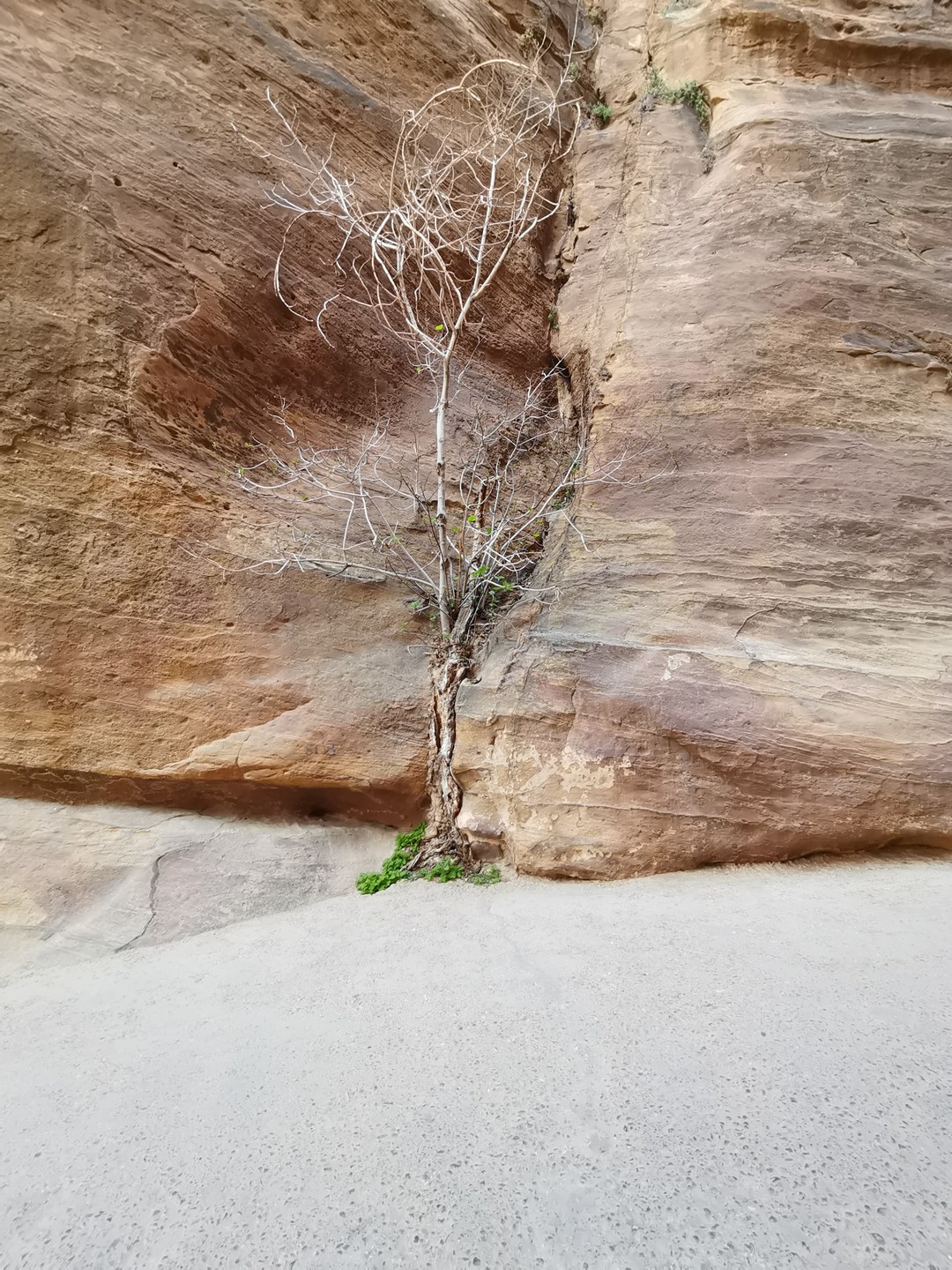 Поездка понравилась, гид был хорошим (только имя забыла), хорошо по-русски говорил, шутил и много фактов рассказывал, помогал в поездке