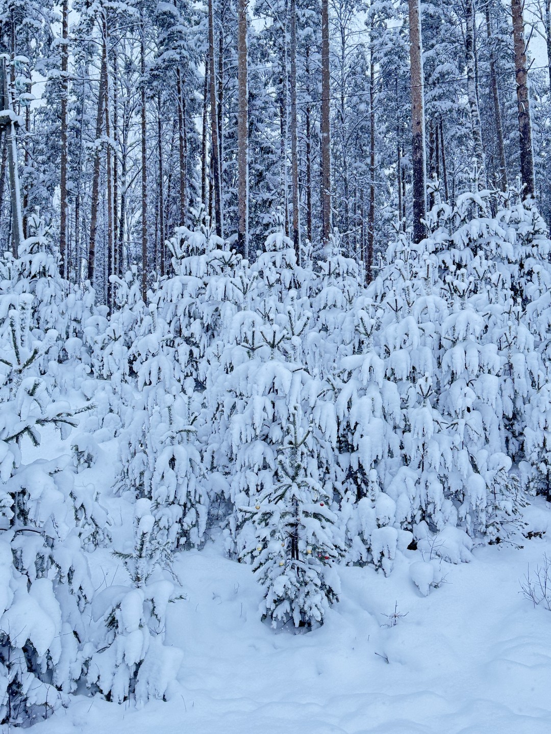 Ездили на экскурсию с гидом Кириллом. Очень понравилась программа, маршрут, организация. Хотели уложиться в световой день,