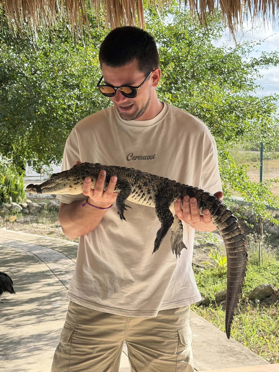 Обычно, мы с женой организовывали экскурсионный досуг самостоятельно. Но в Мексике решили не рисковать и доверить это профессионалу