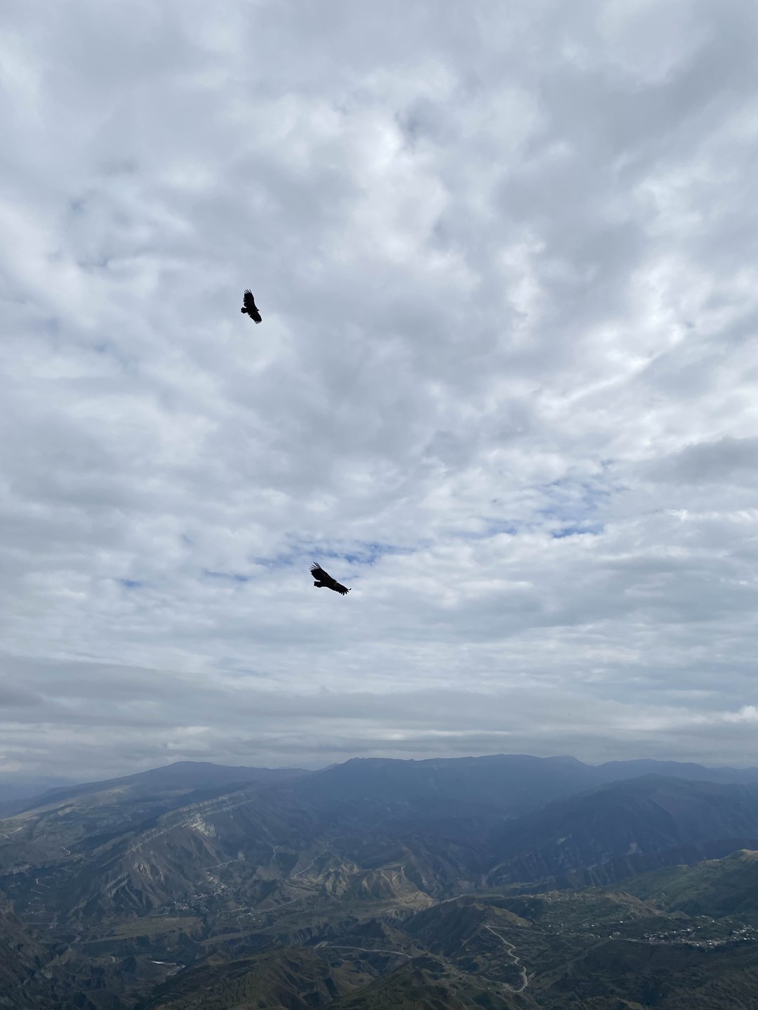 Спасибо Нураву за отличное путешествие. Показали лучшие виды где не было толп туристов, накормили до отвала 🦦 Все прошло отлично🫱🏼‍🫲🏽