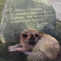 Фото отзыва 2: экскурсия "Музыкально-гастрономическое знакомство с Владикавказом"