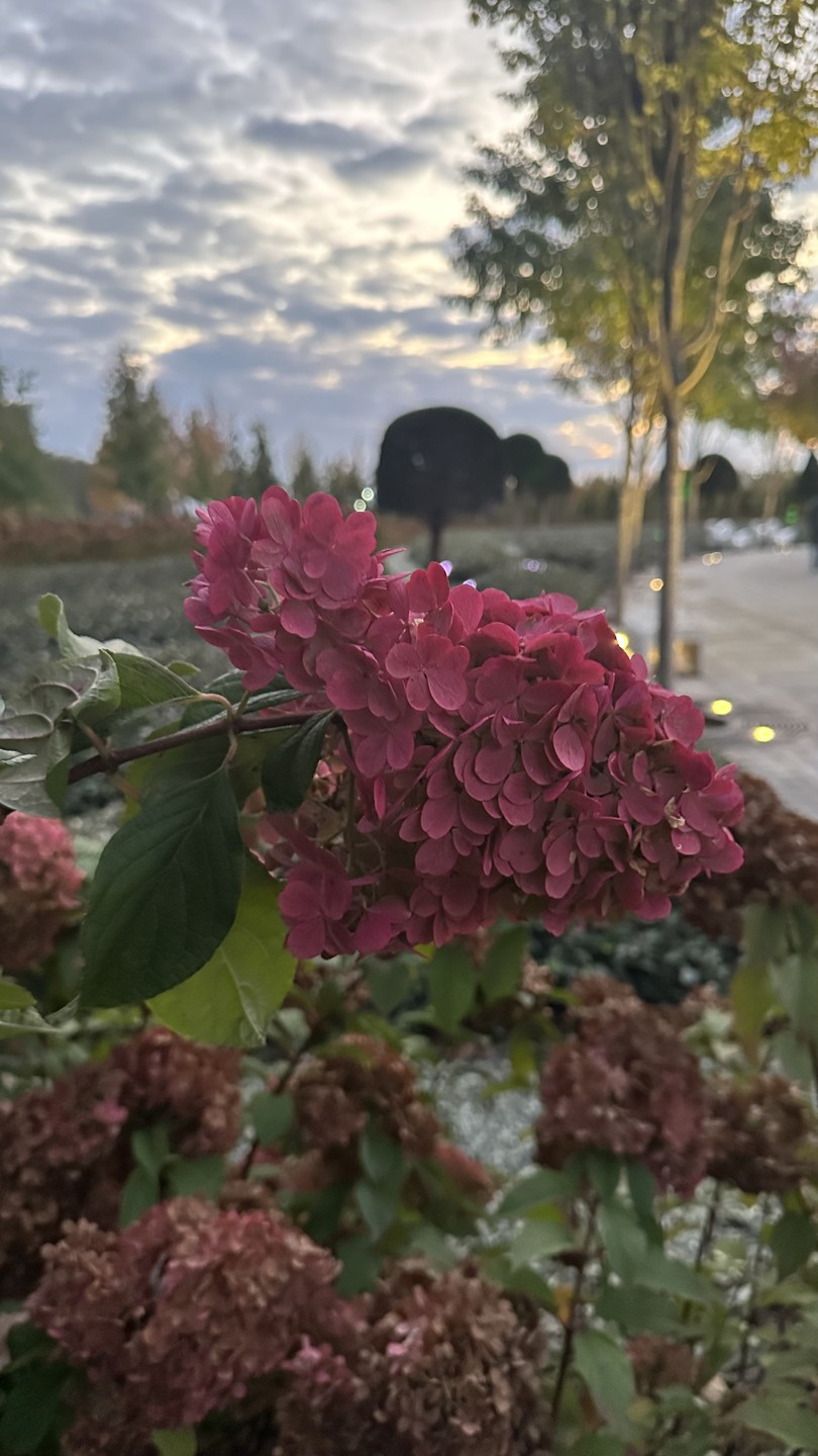 Замена экскурсовода не сказалась на прекрасном впечатлении об экскурсии, Лариса спасибо! Впервые посетив парк, теперь прекрасно