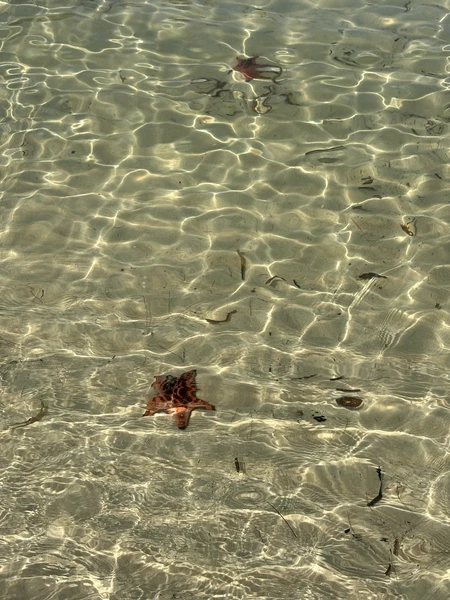 У нас был гид Юлия. К Юлии вопросов нет - все провела и рассказала прекрасно, все