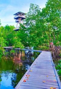 Мангровый парк «Джубайль»