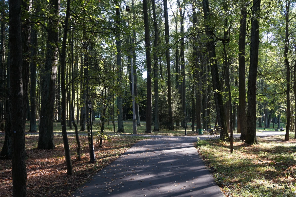 Авторская экскурсия по усадьбе-санаторию «Валуево» (7/10)