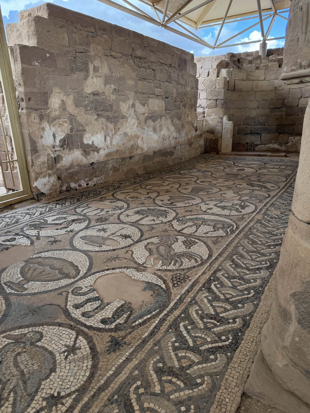 Поездка в Петру с гидом Саидом стала настоящим открытием! Великолепная организация, интересные рассказы и дружелюбная атмосфера