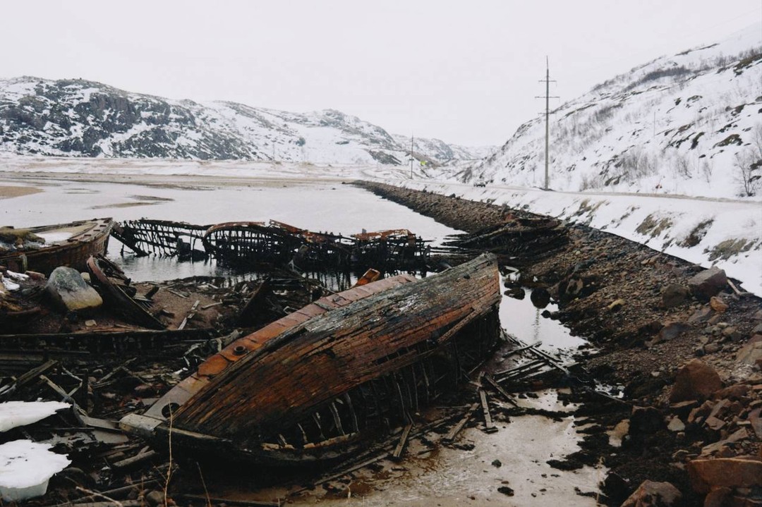 Фото отзыва 1: экскурсия "Время Севера: Териберка, киты и морские деликатесы"