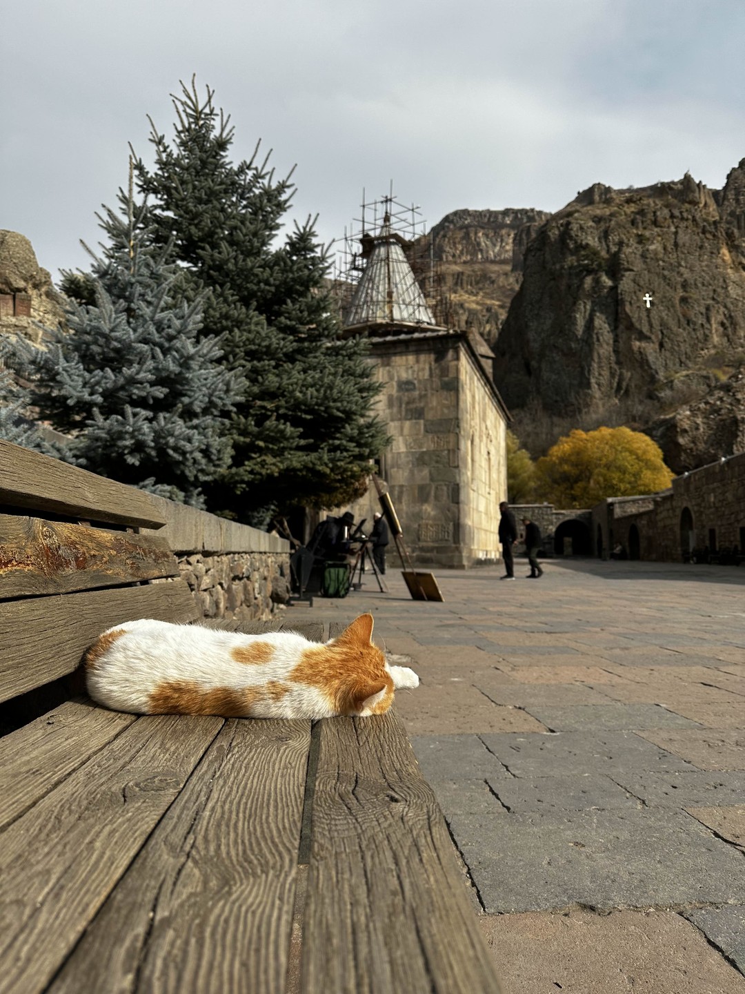 Все очень понравилось! Было очень комфортно и интересно! Про каждую достопримечательность было рассказано, так же были