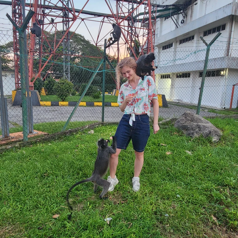 Пещеры Бату, река светлячков и серебристые обезьяны за 1 день (Арина)