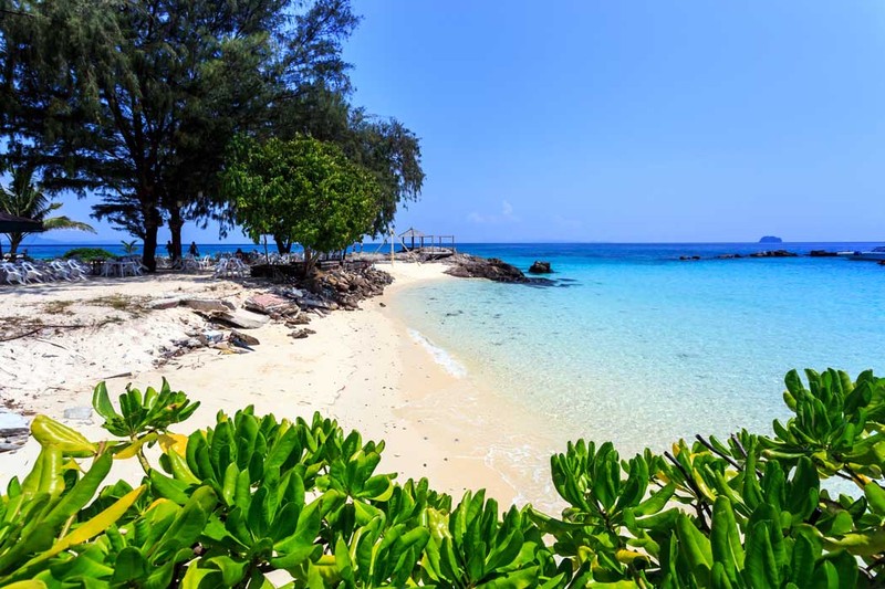 Фото отзыва 3: экскурсия "День на уединённом острове Майтон"