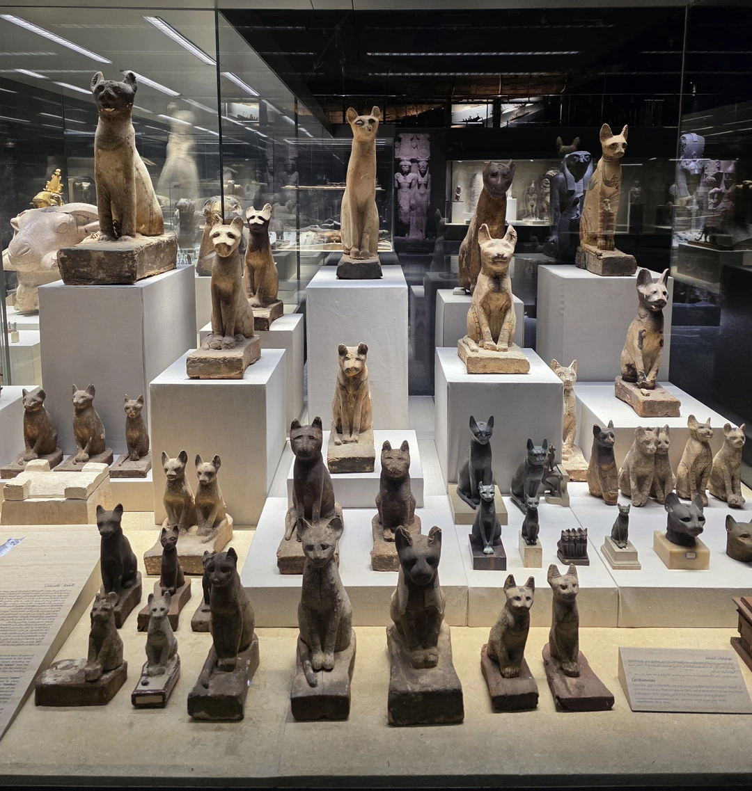 Были на экскурсии в новом музее Шарм-эль-Шейха. Мы забронировали экскурсию экспромтом за пару часов до ее начала.