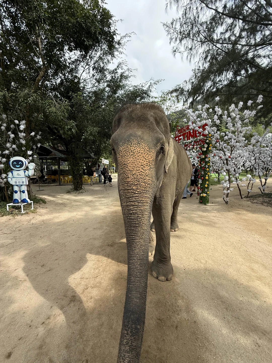 Отличная экскурсия. Вячеслав очень хороший гид и человек. Мы были с ребенком, всячески помогал и проявлял
