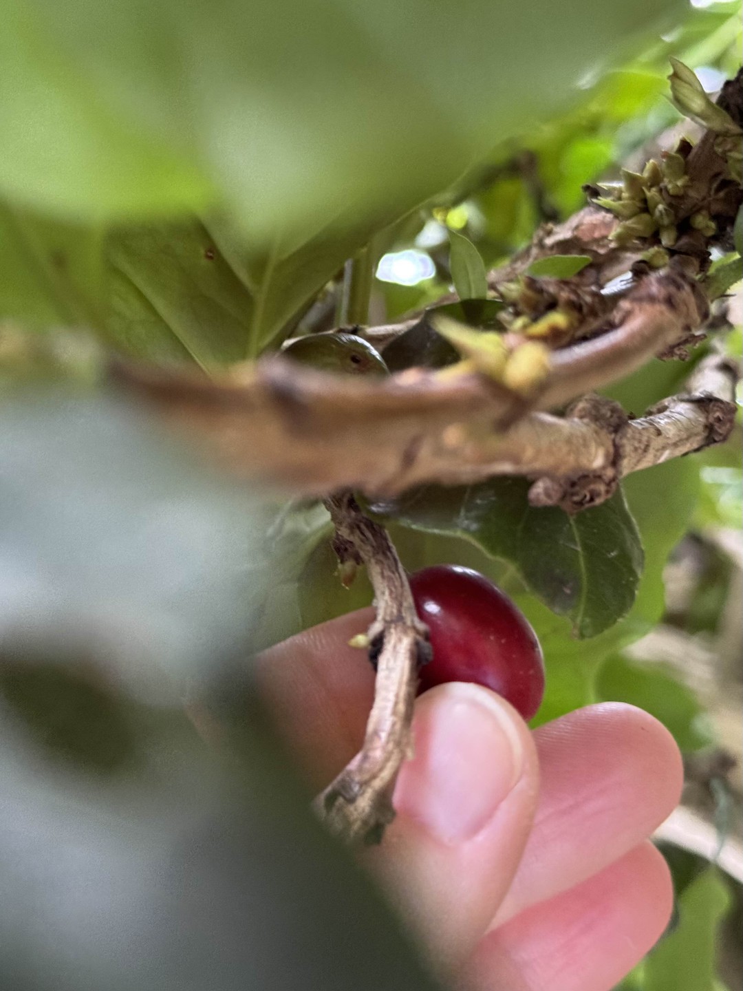 Замечательный гид Вячеслав! Отличная организация путешествия!