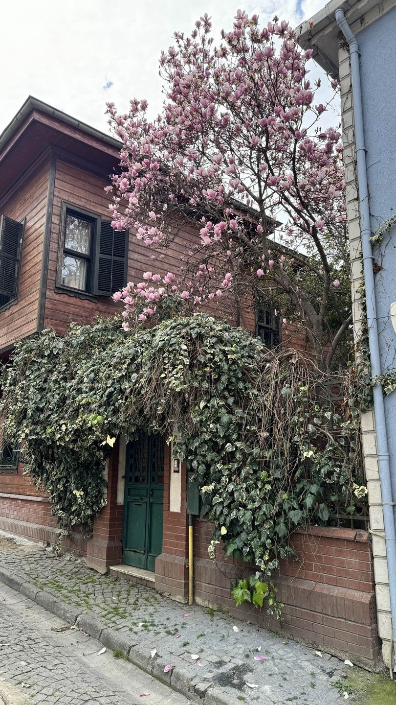 Ускюдар и Кузгунджук: квест-экскурсия по двум мирам Стамбула (Svetlana)