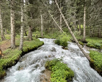 Каракольское ущелье, Музей Пржевальского, Семёновское и Григорьевское ущелья