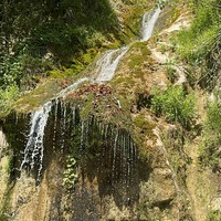 Фото отзыва 6: экскурсия "Гагра и озеро Рица — первое знакомство с Абхазией"