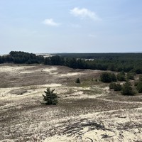 Фото отзыва 3: экскурсия "Куршская коса, орнитологическая станция и Танцующий лес (из Зеленоградска)"