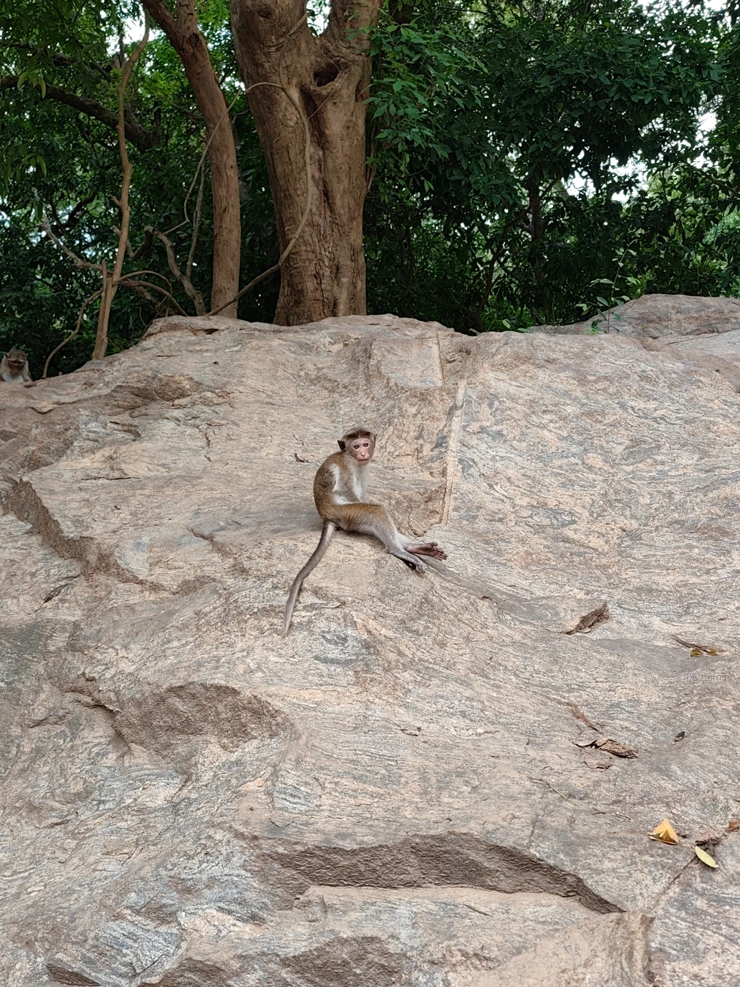 Были на экскурсии 22.11.2025. Наш гид Рифай проявил себя на высшем уровне: отличная организация, пунктуальность и