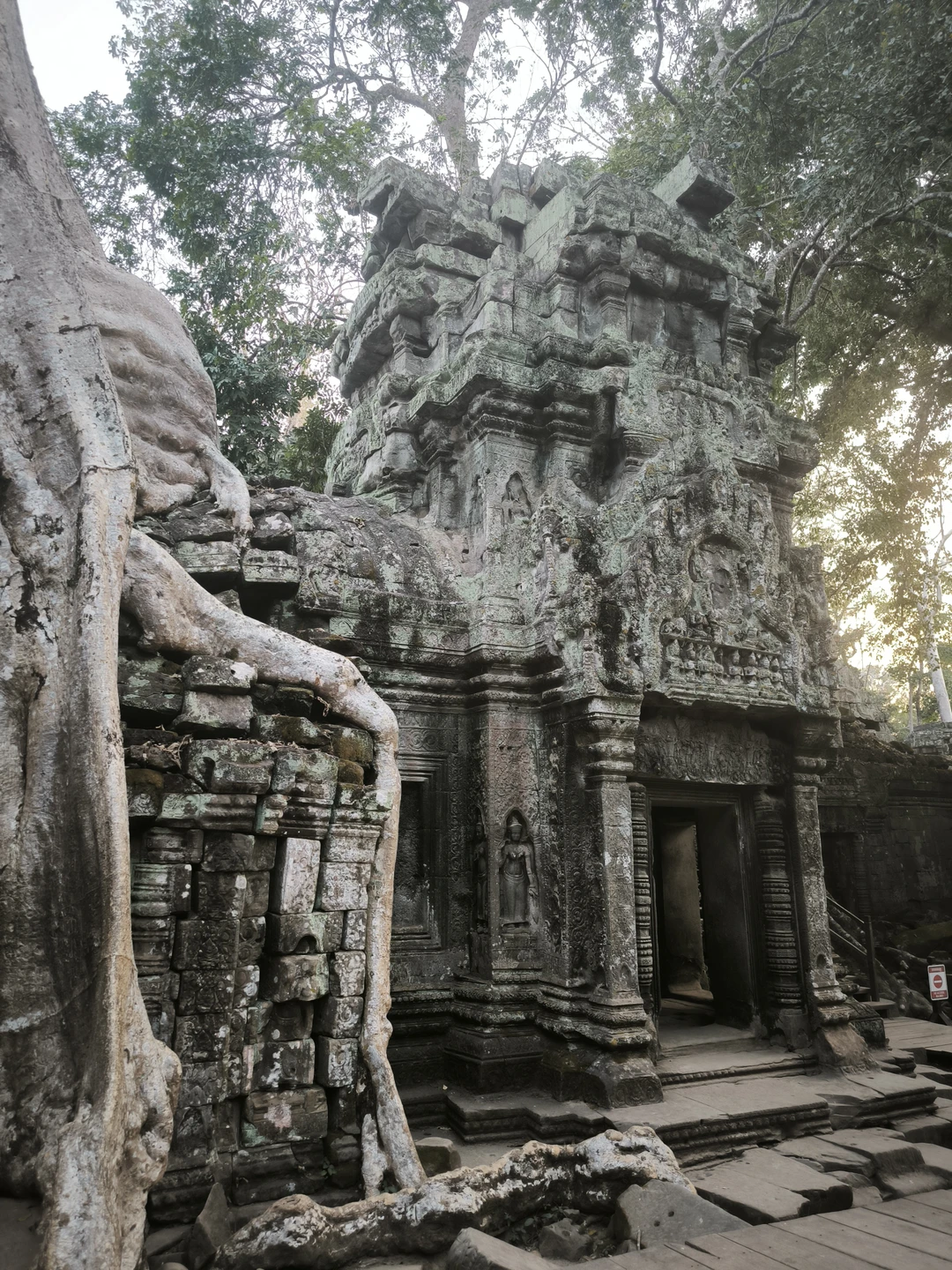 Великолепный гид! Одн из лучших в моем опыте (а опыт достаточно большой). Компетентность, глубина знаний в