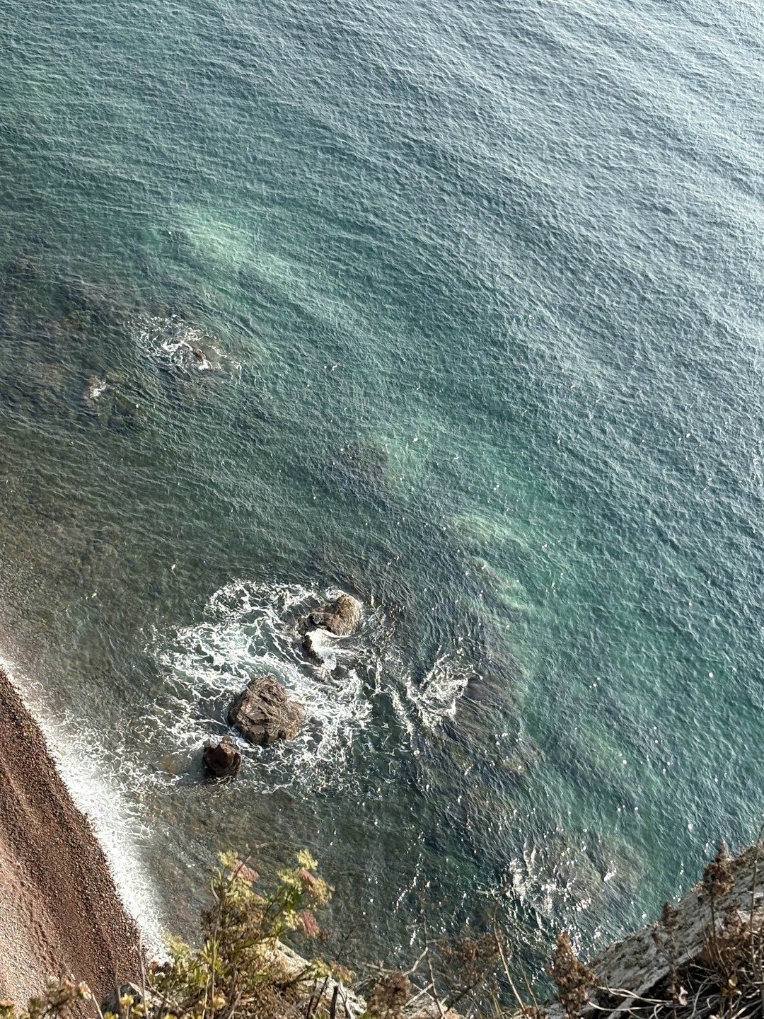 Морское приключение во Владивостоке: мыс Тобизина, котики и морепродукты (Татьяна)