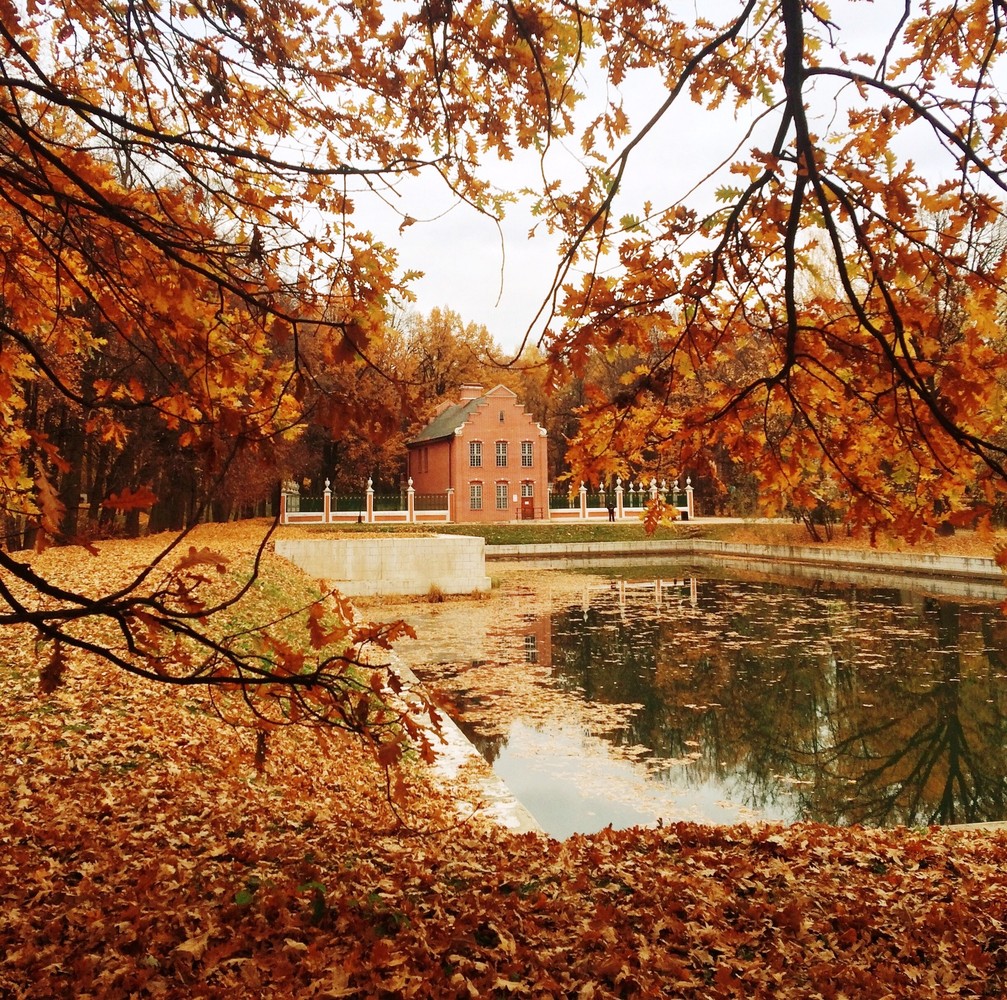 Групповая прогулка по дворцово-парковому ансамблю Кусково 18 века (8/8)