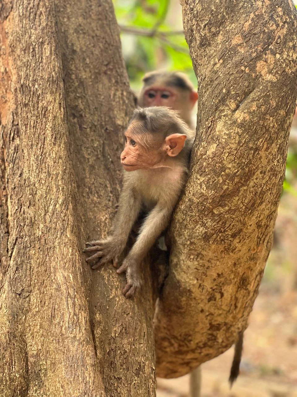 Огромное спасибо Наталье за чудесное приключение!