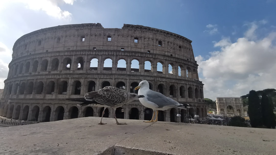 Маршрут очень понравился, находились от души. Гид владеет огромной базой о приданиях, легендах и фактах древнего