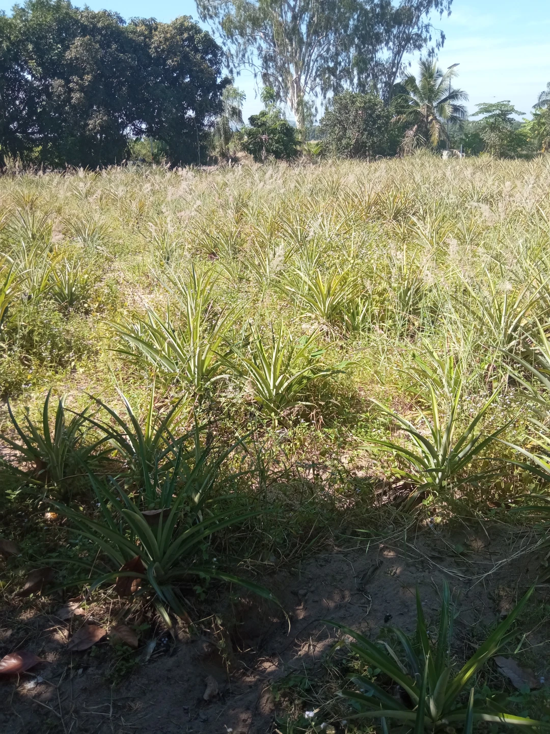 22.11 посетили экскурсию "Дискавери", хотим сказать большое спасибо Дарье, было очень интересно и познавательно, места в