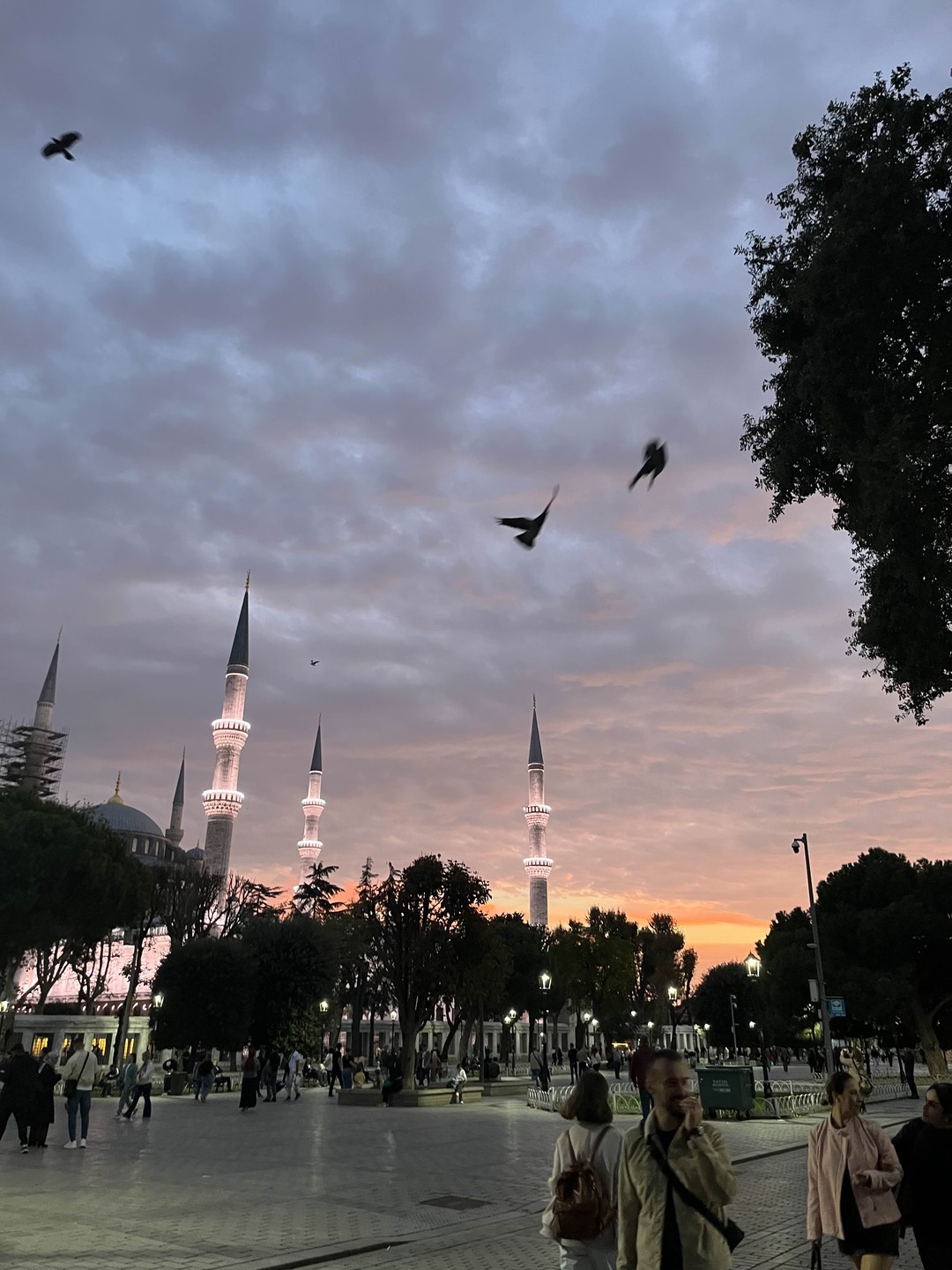 Айя-София, Голубая мечеть, Цистерна Базилика и Ипподром (Анна)