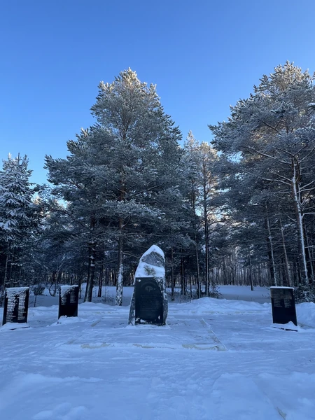 Были в конце января 2026.