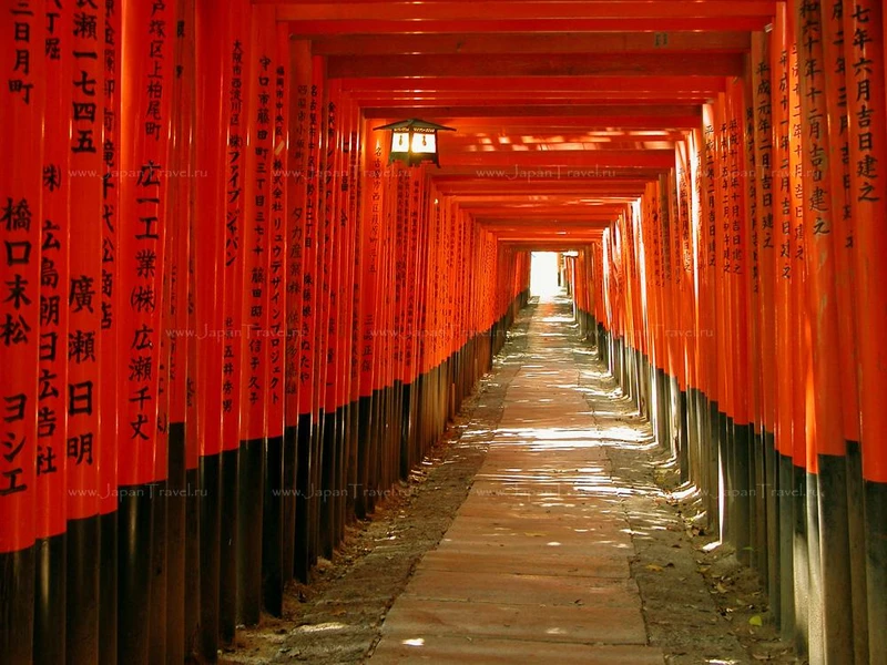 В Японию на цветение сакуры: Токио, Хаконэ, Киото и Осака с экскурсиями и программой по желанию