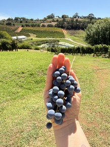 Фото отзыва 7: экскурсия ""