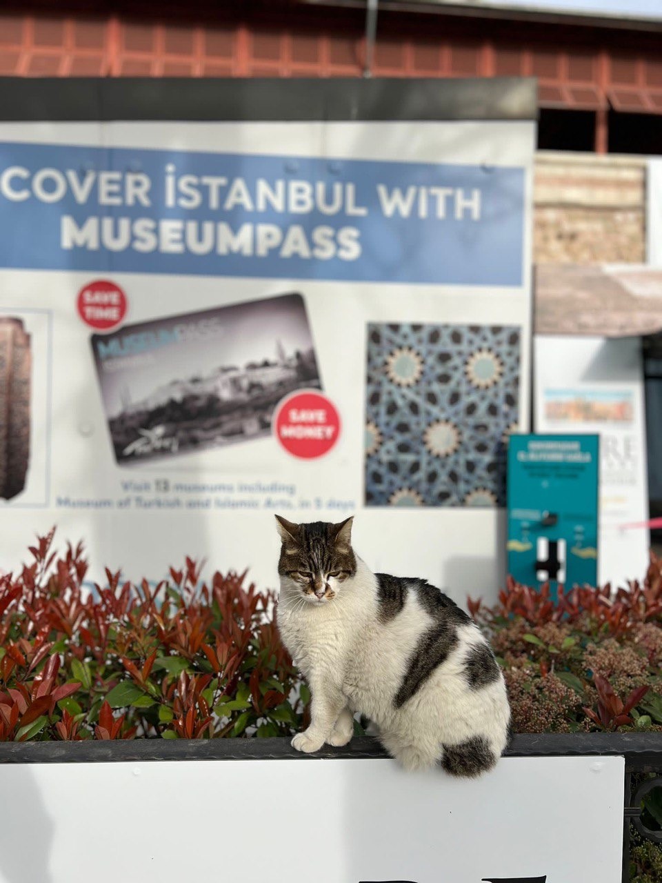 Шикарная экскурсия! Это уникальная возможность посетить сразу несколько уникальных достопримечательностей! Красота нереальная! Она стоит своих денег!