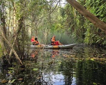 Пляжный отдых, ботанический сад, плавучий рынок