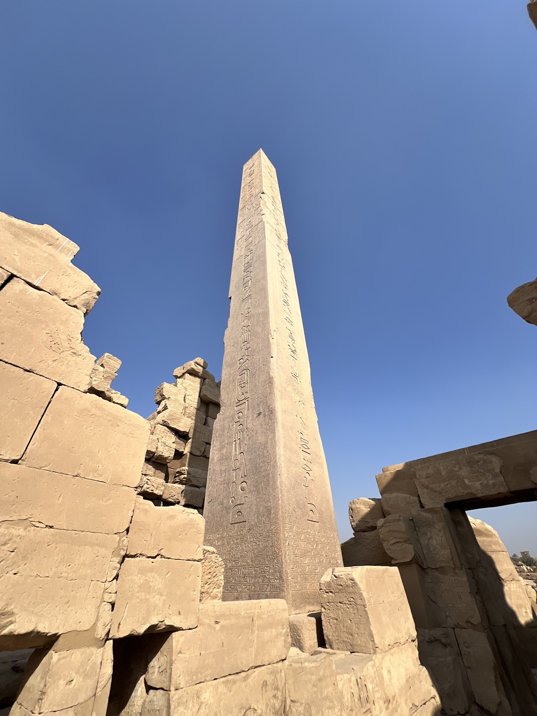 Ездили вдвоем с женой на индивидуальную экскурсию в Луксор. Отвезли и привезли с комфортом на легковой