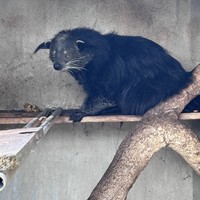 Фото отзыва 1: экскурсия "Из Нячанга — к небанальным локациям Далата"