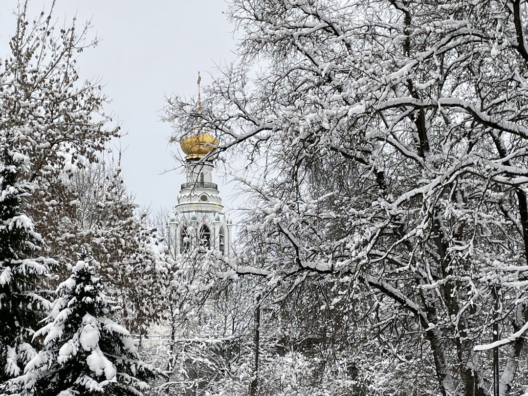 Огромное спасибо Елене, которая провела для нашей компании из 7 человек великолепную экскурсию по прекрасной Вологде.