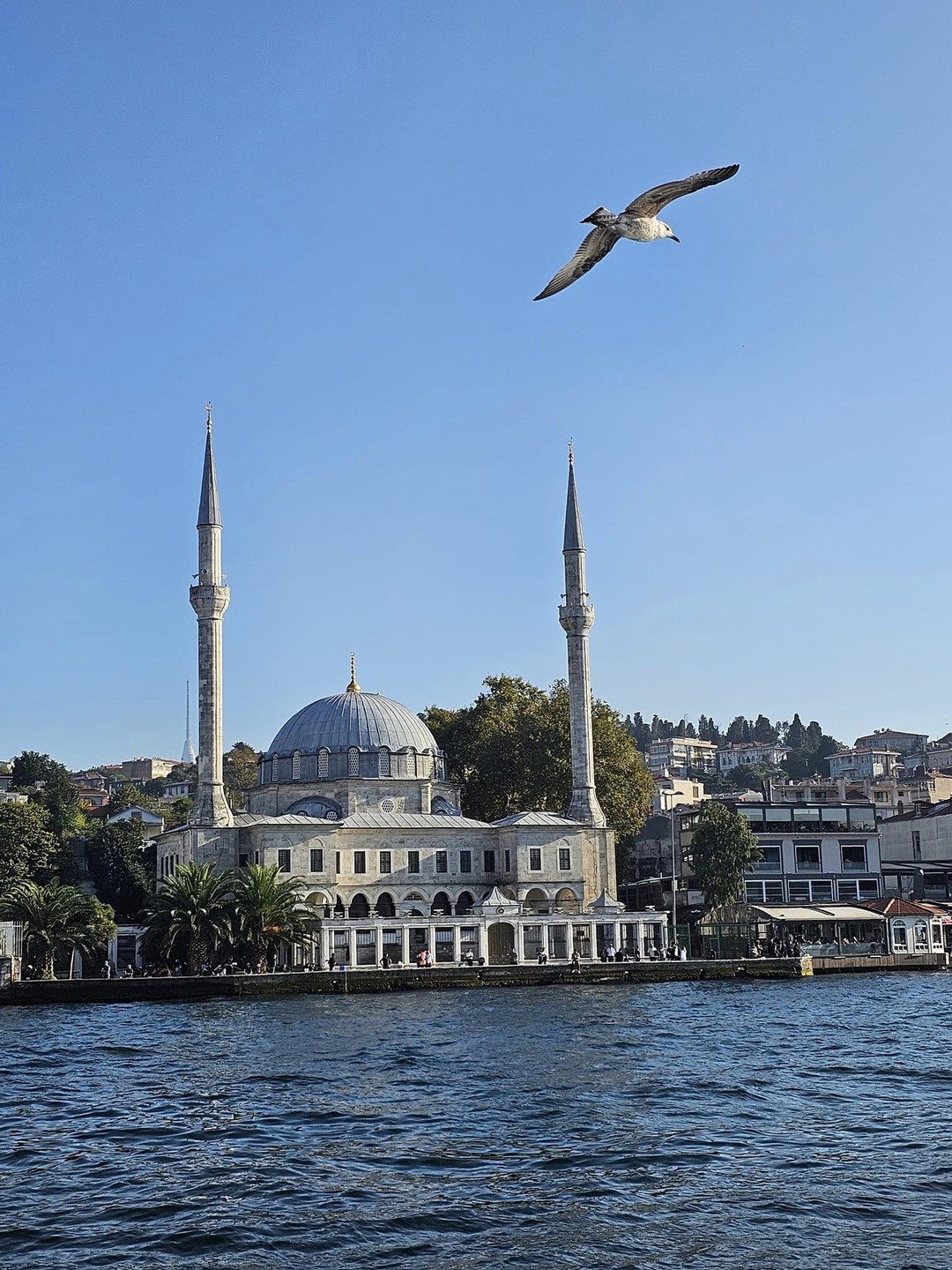 В сердце Стамбула с профессиональным гидом (Iryna)