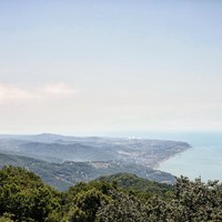 reviews img