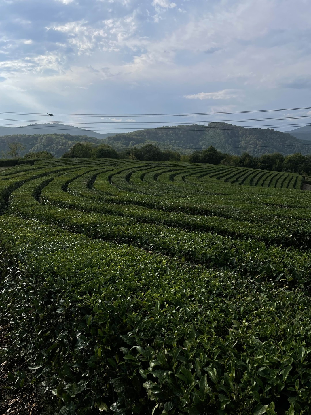 Спасибо Михаилу за проведенную экскурсию! Нам всем понравилось, было очень насыщенно, то что мы и хотели! Ожидания совпали с реальностью)