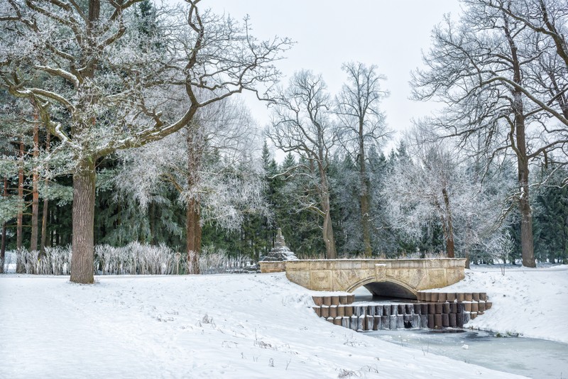 Рождество и Новый год в Царском Селе: семейная экскурсия-квест