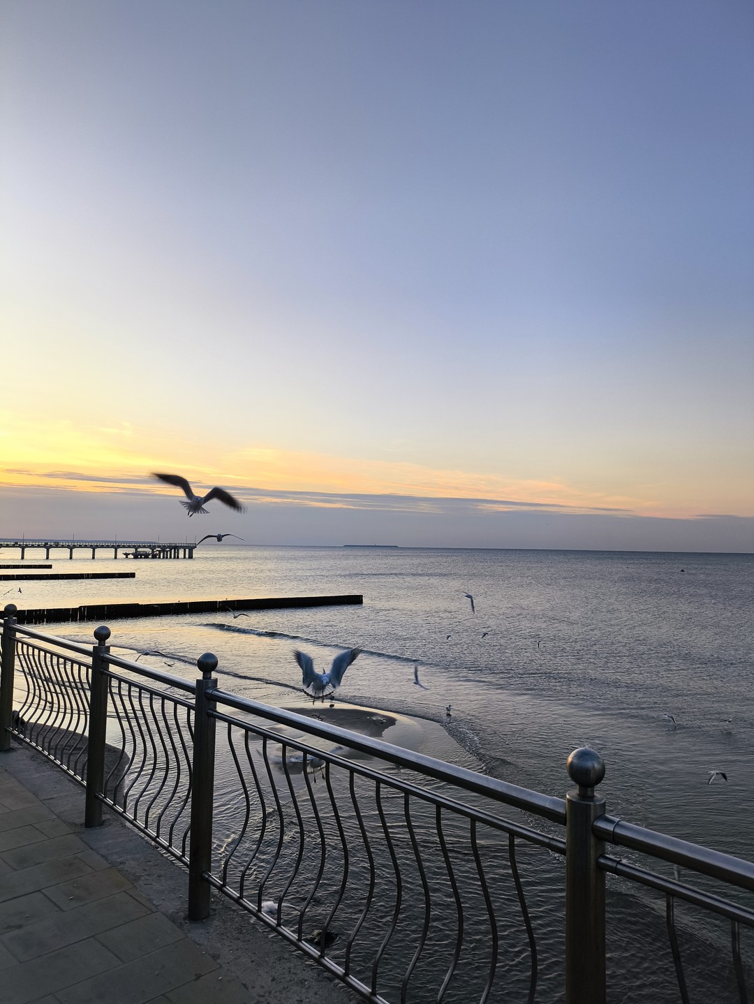 Супер экскурсия с гидом Олегом! Природа Калининградской области вдохновляет своей красотой и самобытностью! Все четко и