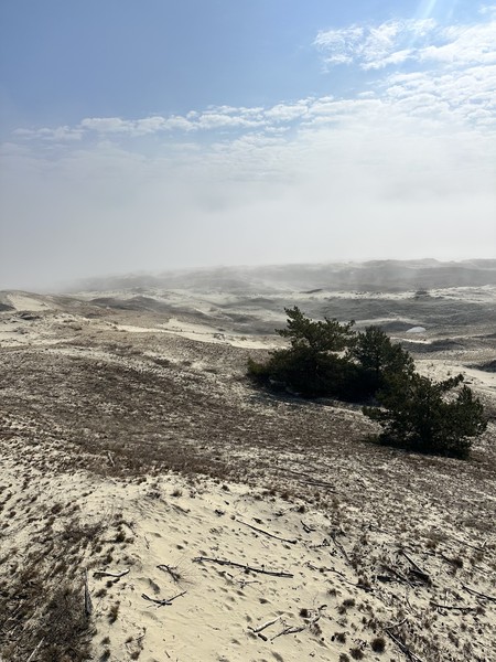 Степан - настоящий профессионал! Удивительно, как можно преподносить исторические факты так легко, интересно и с юмором