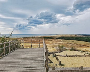 Куршская коса, Танцующий лес и уютные улочки Зеленоградска